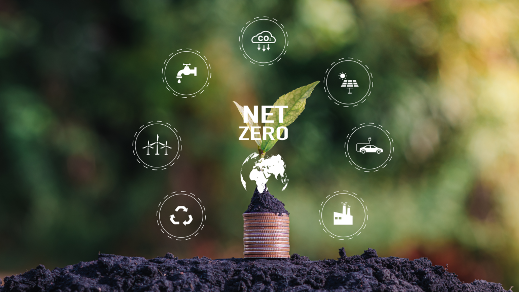 Net-zero emissions