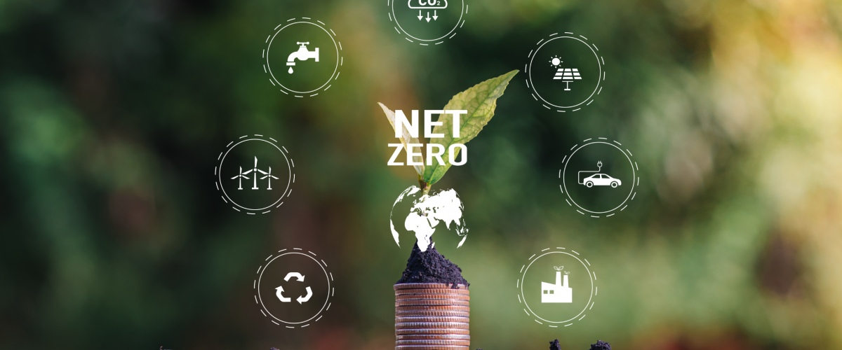 Net-zero emissions