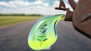 The Rise of Biofuels: A Sustainable Complement to Traditional Oil